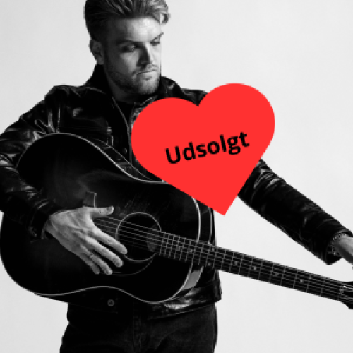 Jacob Dinesen på Realen